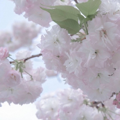 铁锋FurryQQ群介绍